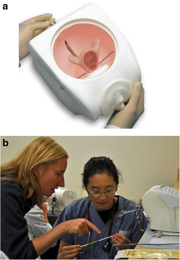 Fig. 1