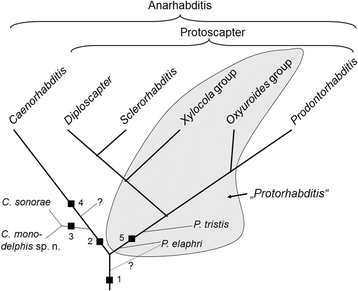 Fig. 7