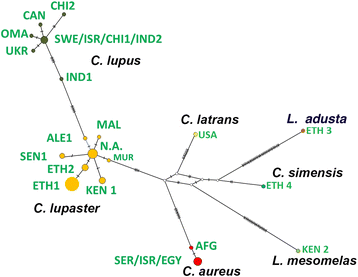 Fig. 3