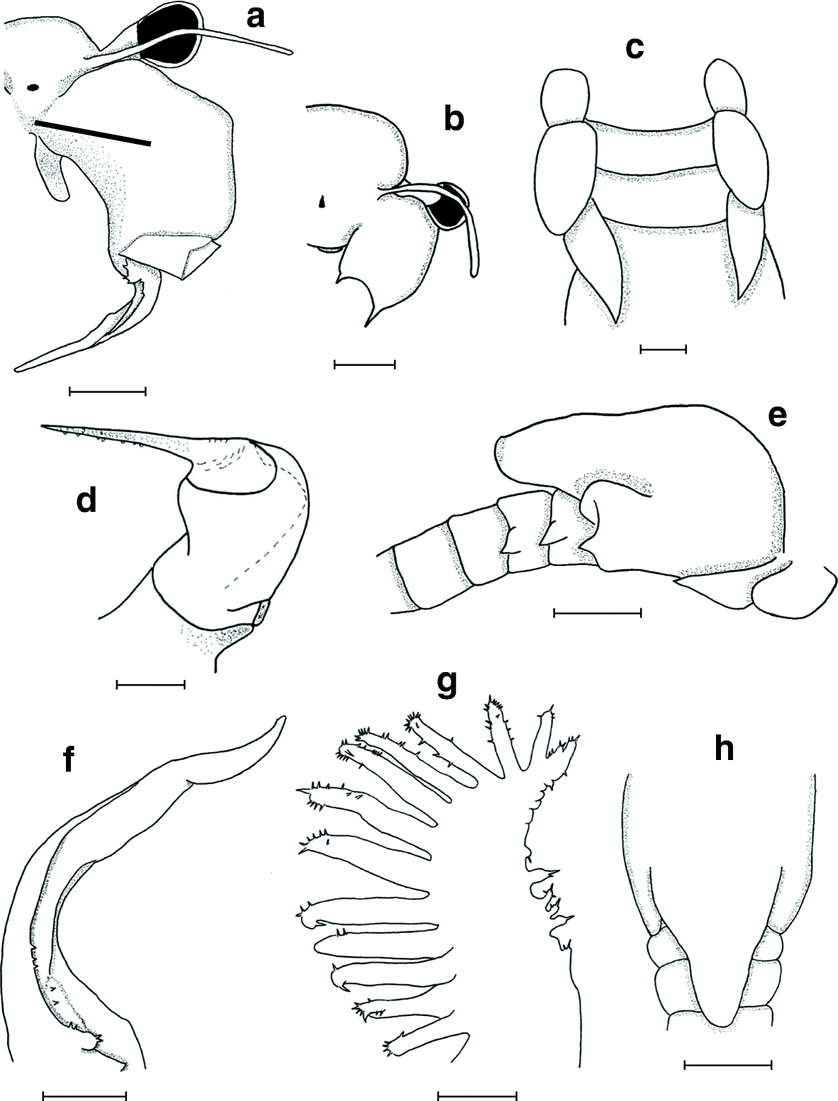 Fig. 10