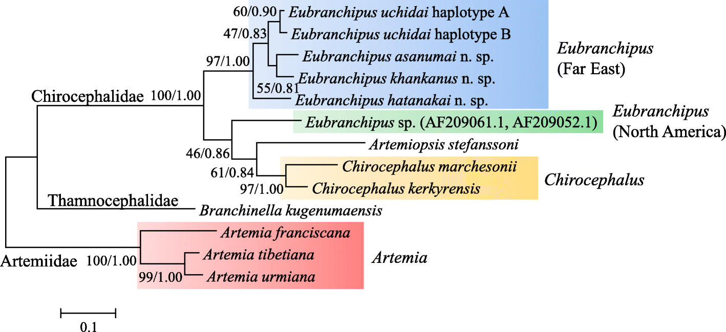 Fig. 14