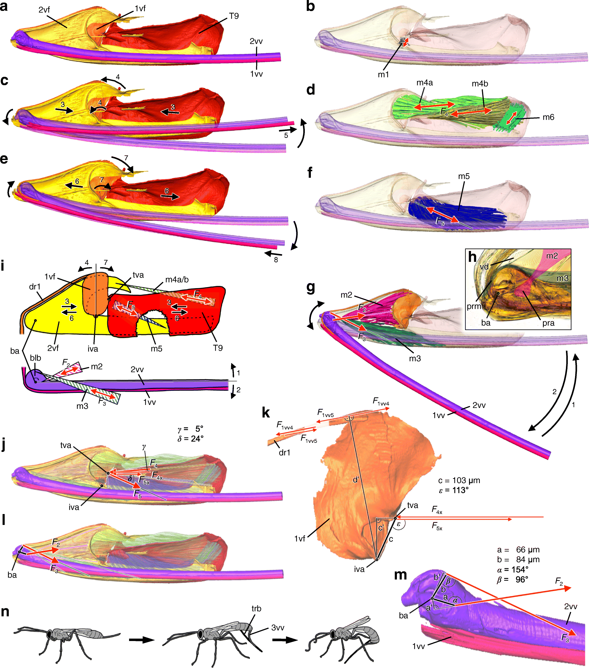 Fig. 5