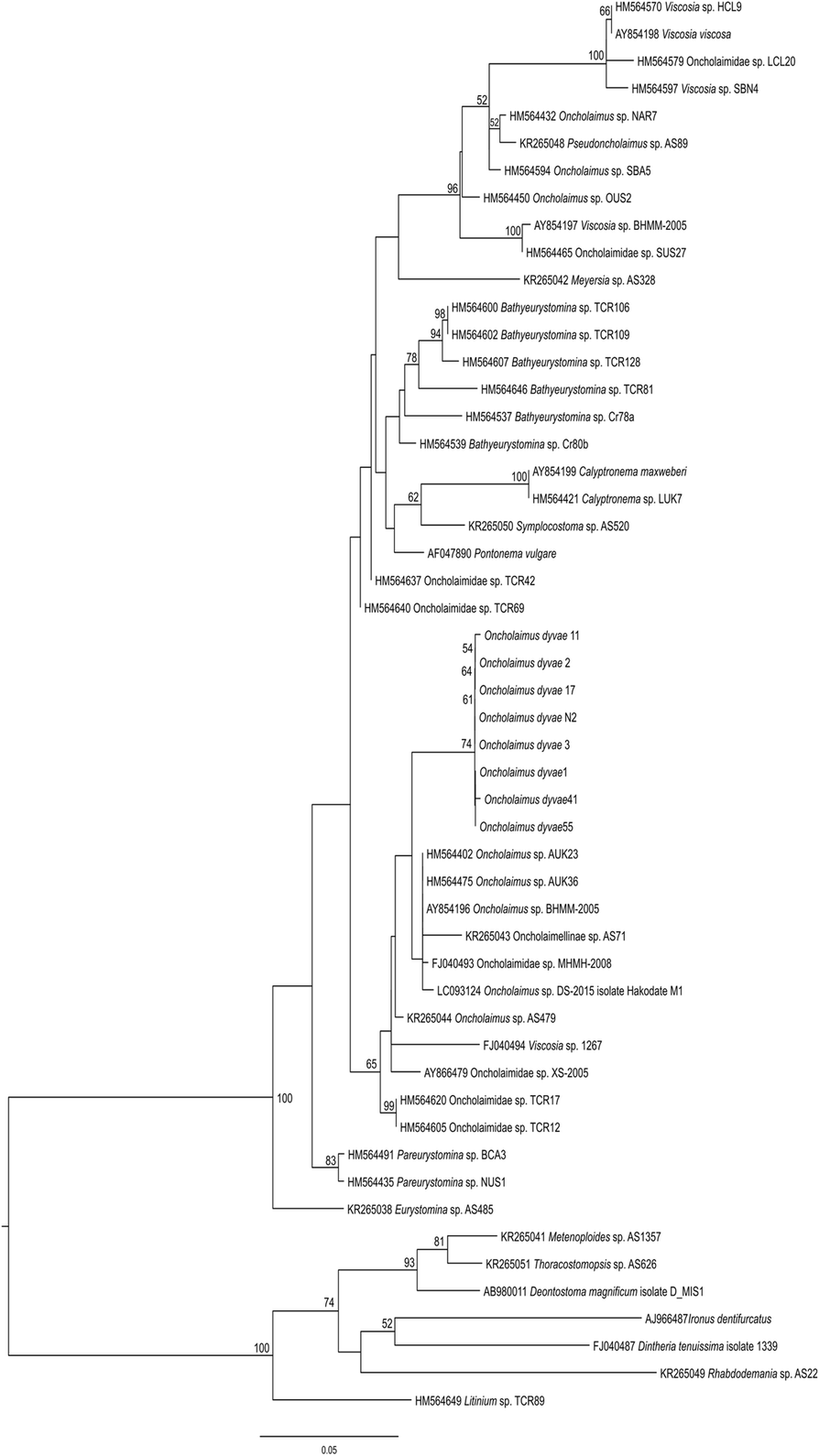 Fig. 6