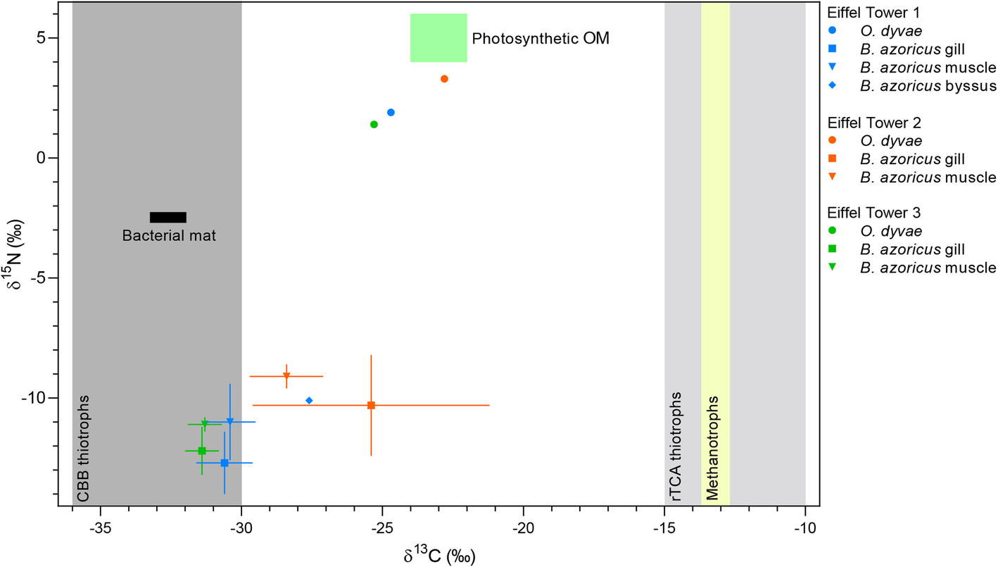 Fig. 8