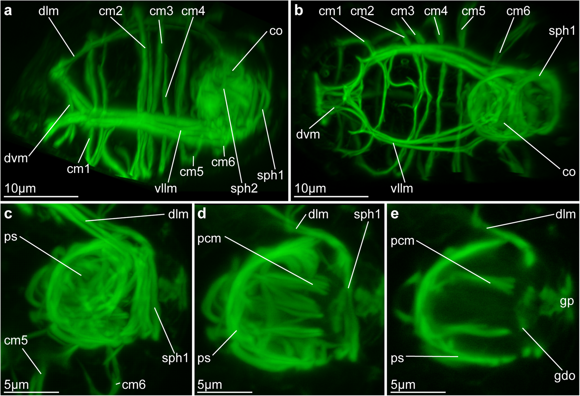 Fig. 3