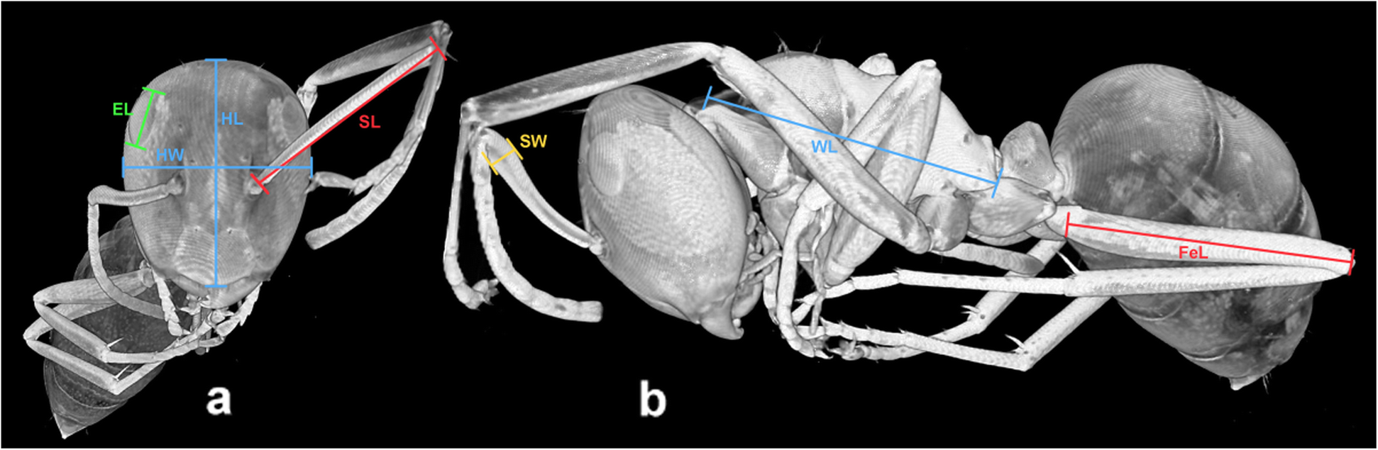 Fig. 14