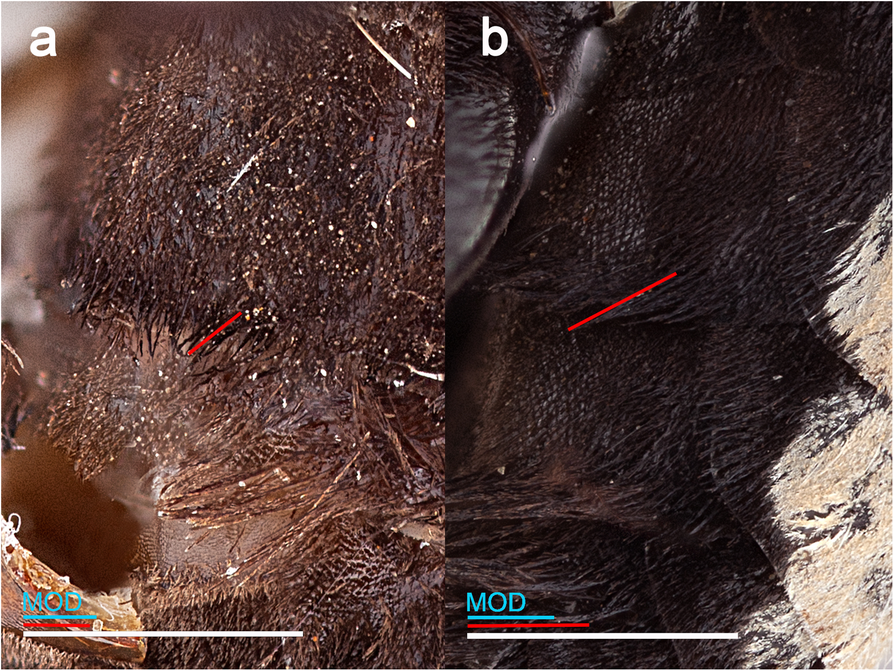 Fig. 15