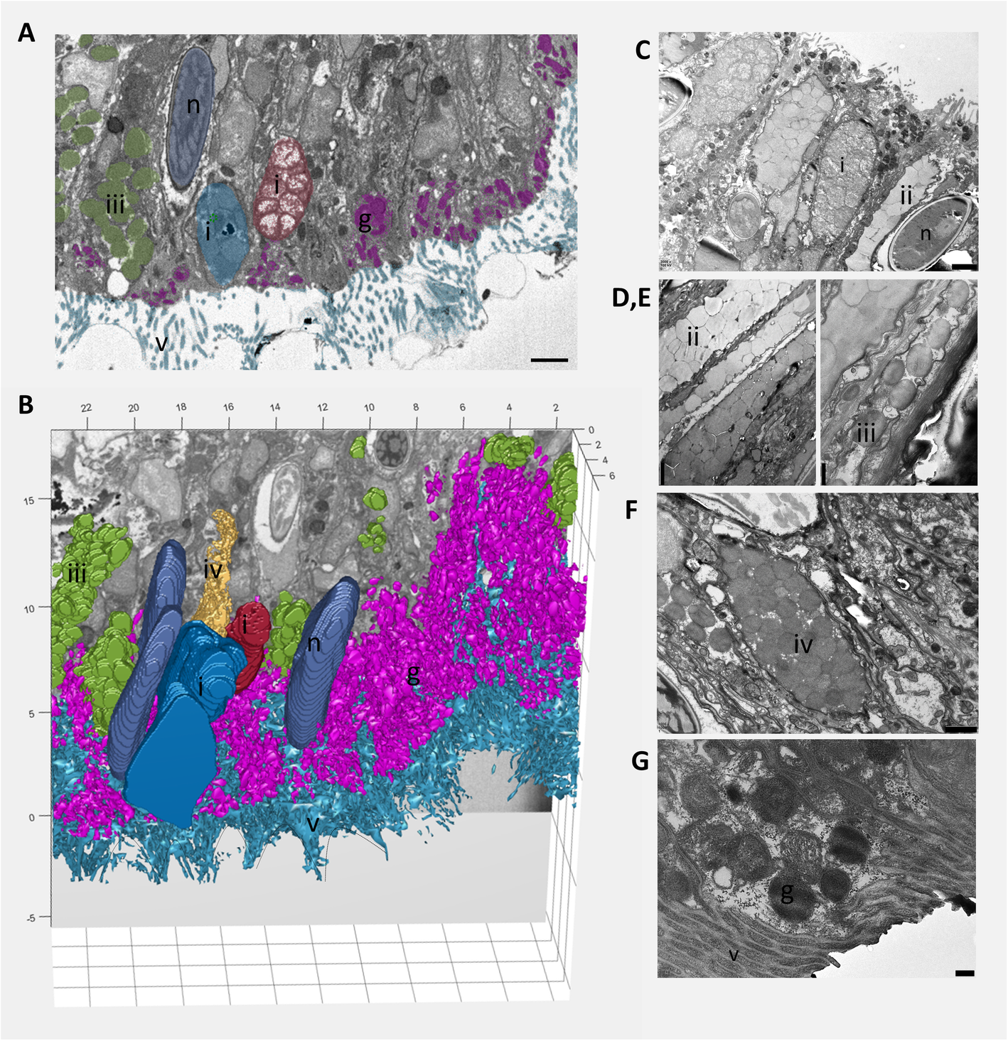 Fig. 4