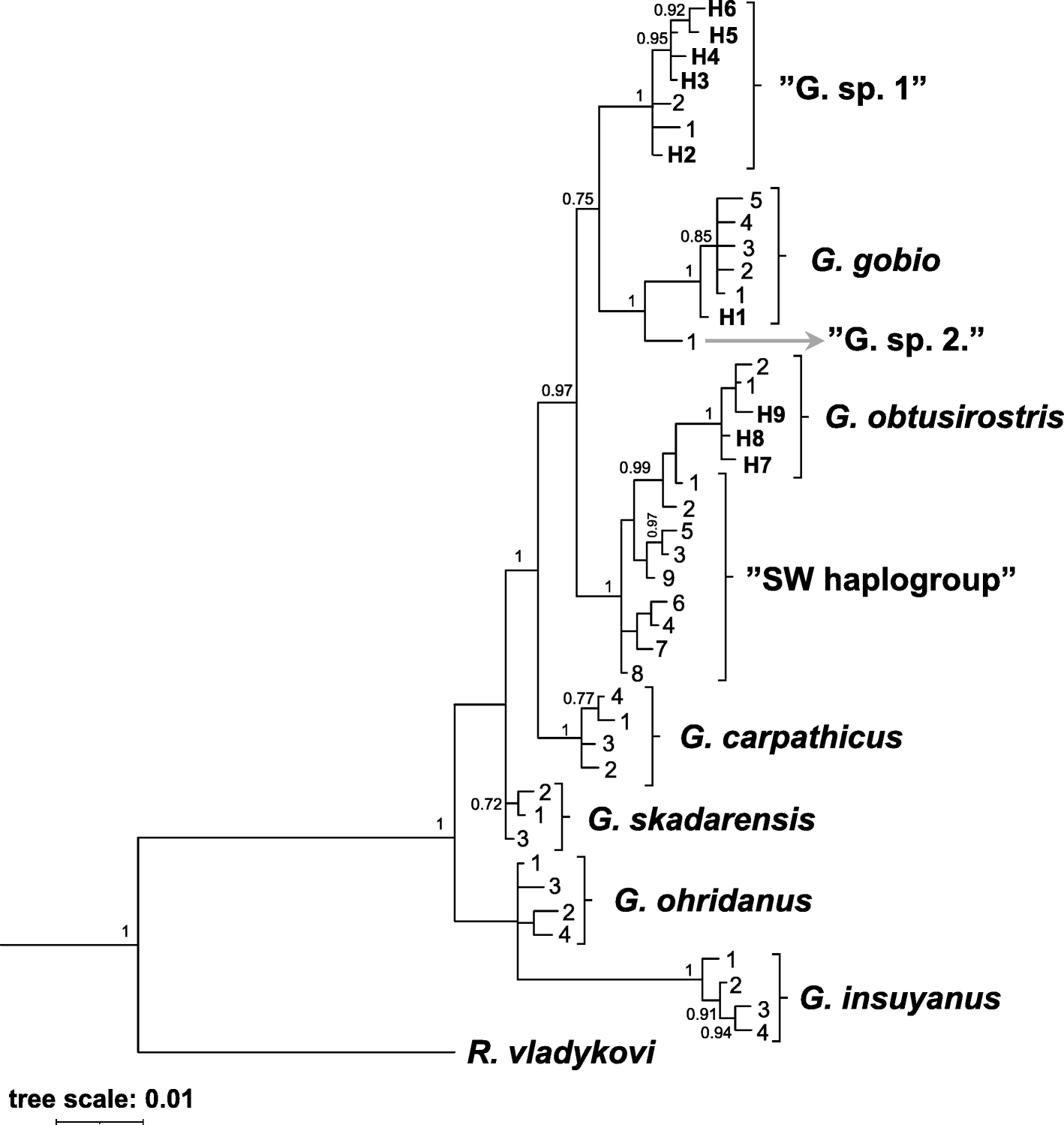 Fig. 2