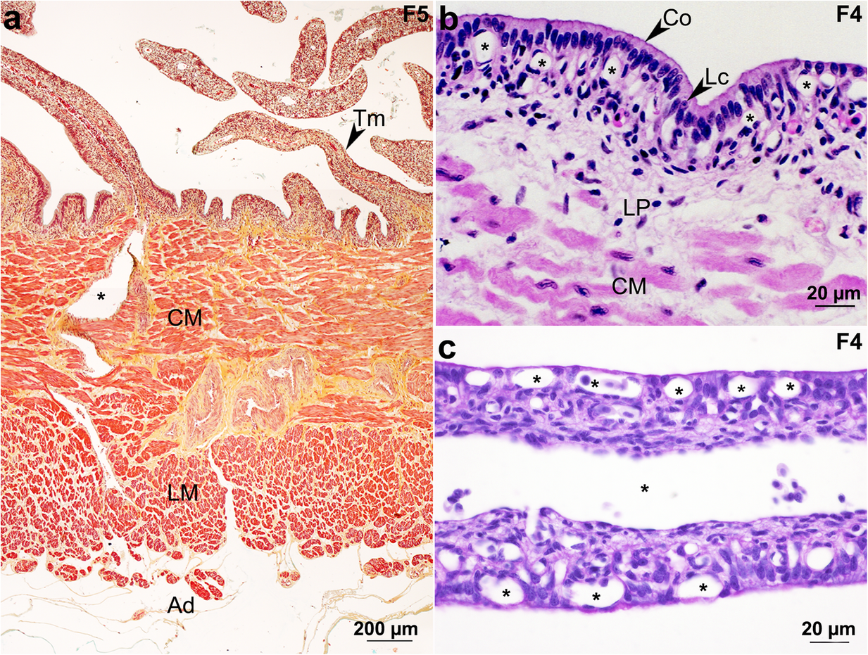 Fig. 9