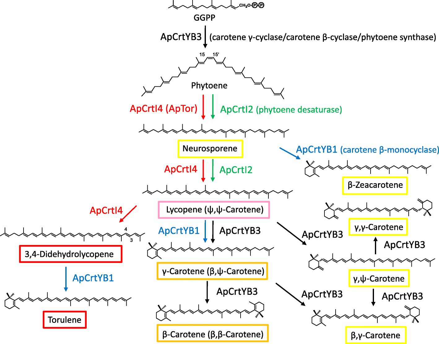 Fig. 3