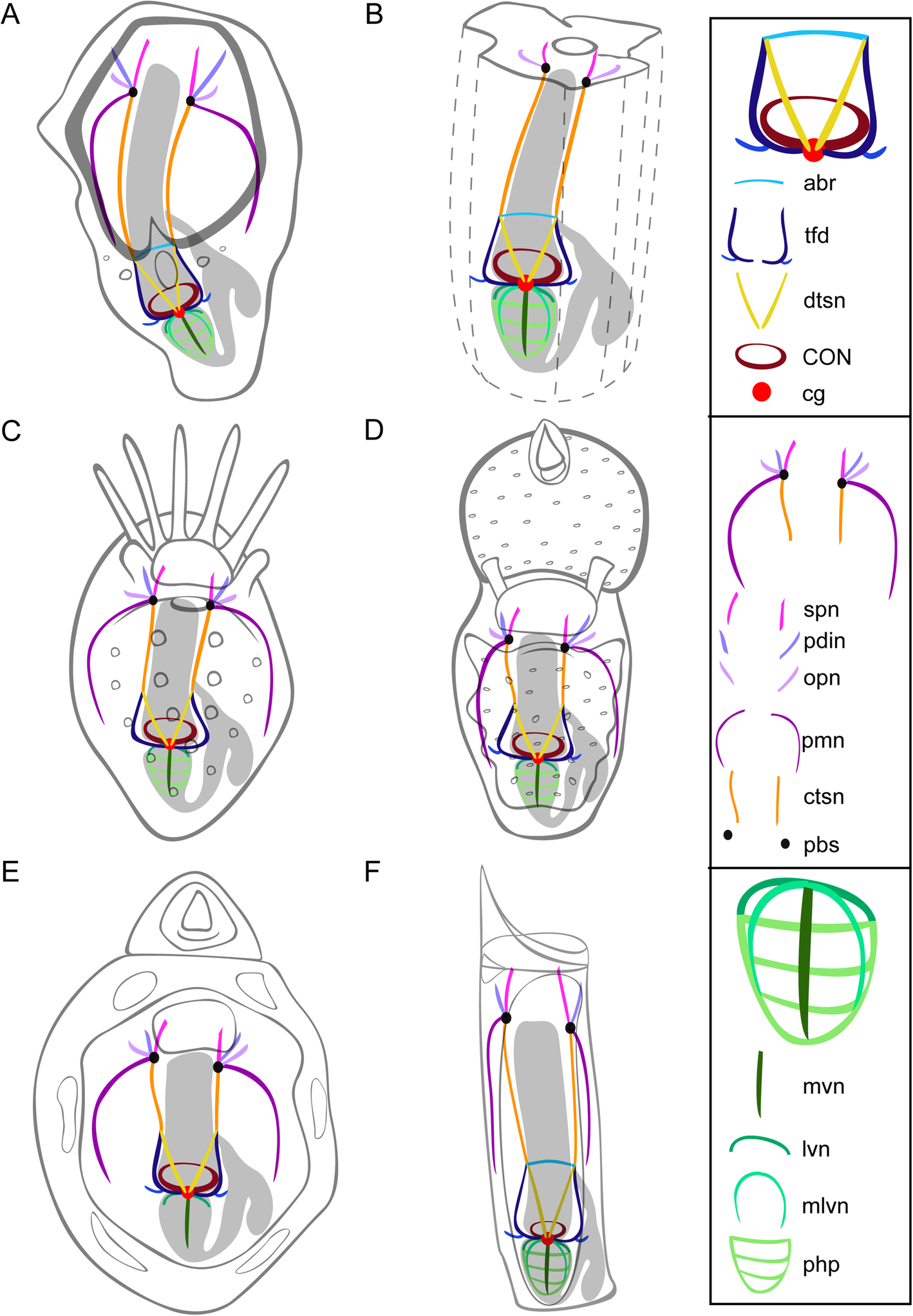 Fig. 10