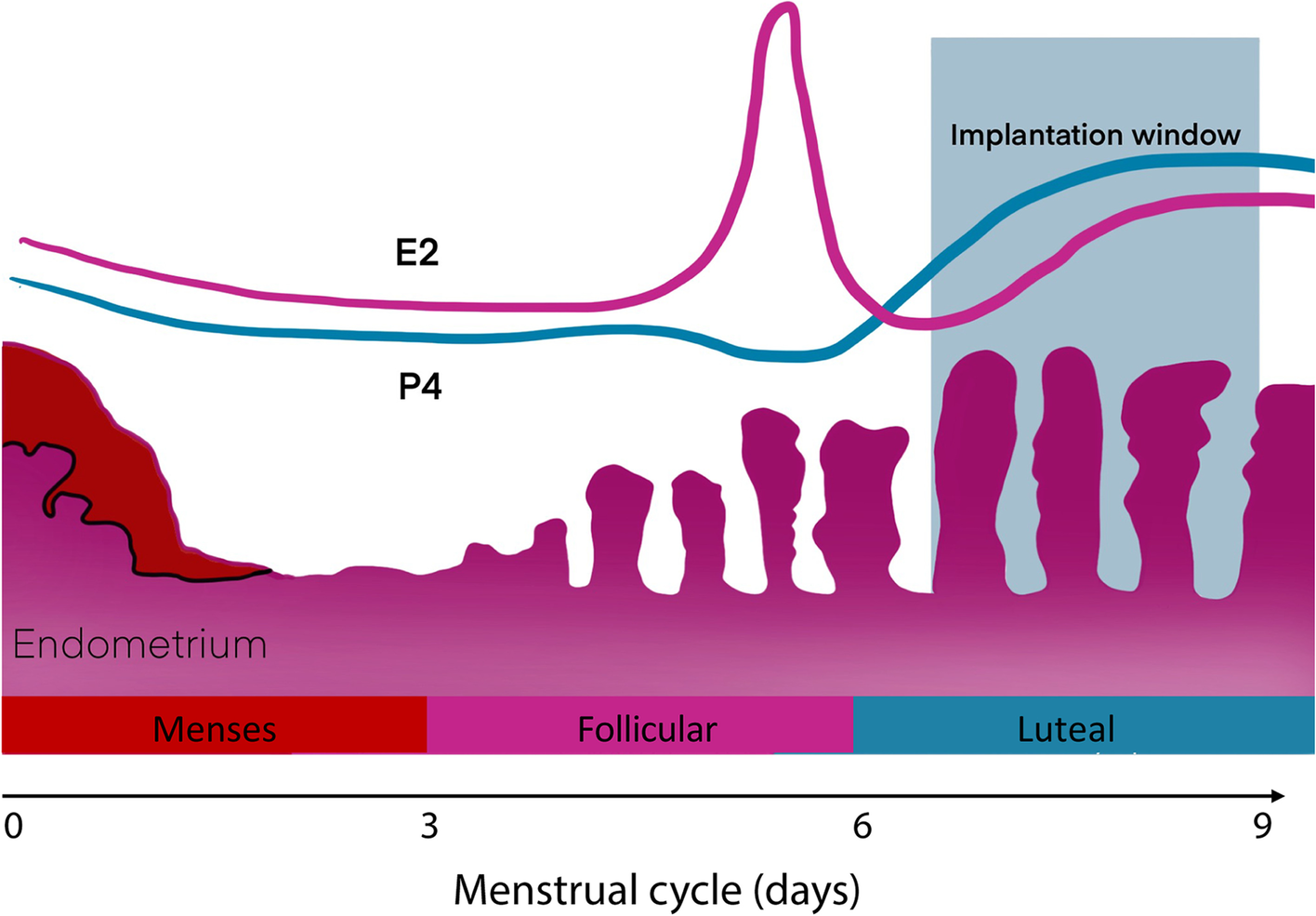 Fig. 6