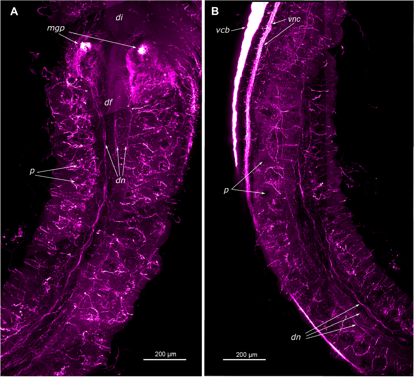 Fig. 14