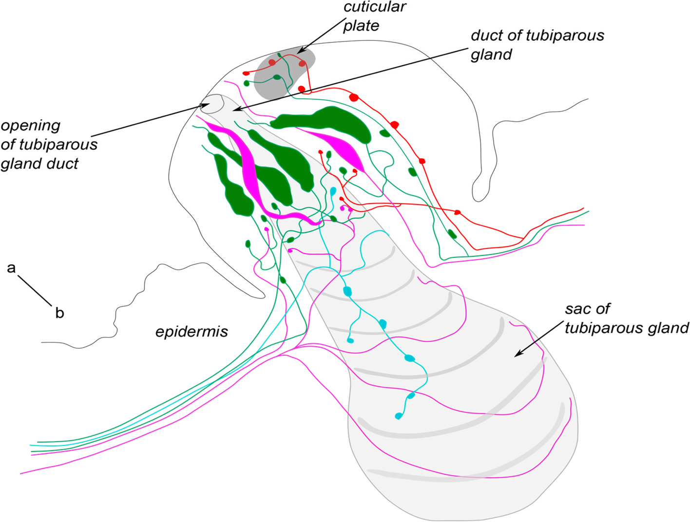 Fig. 20