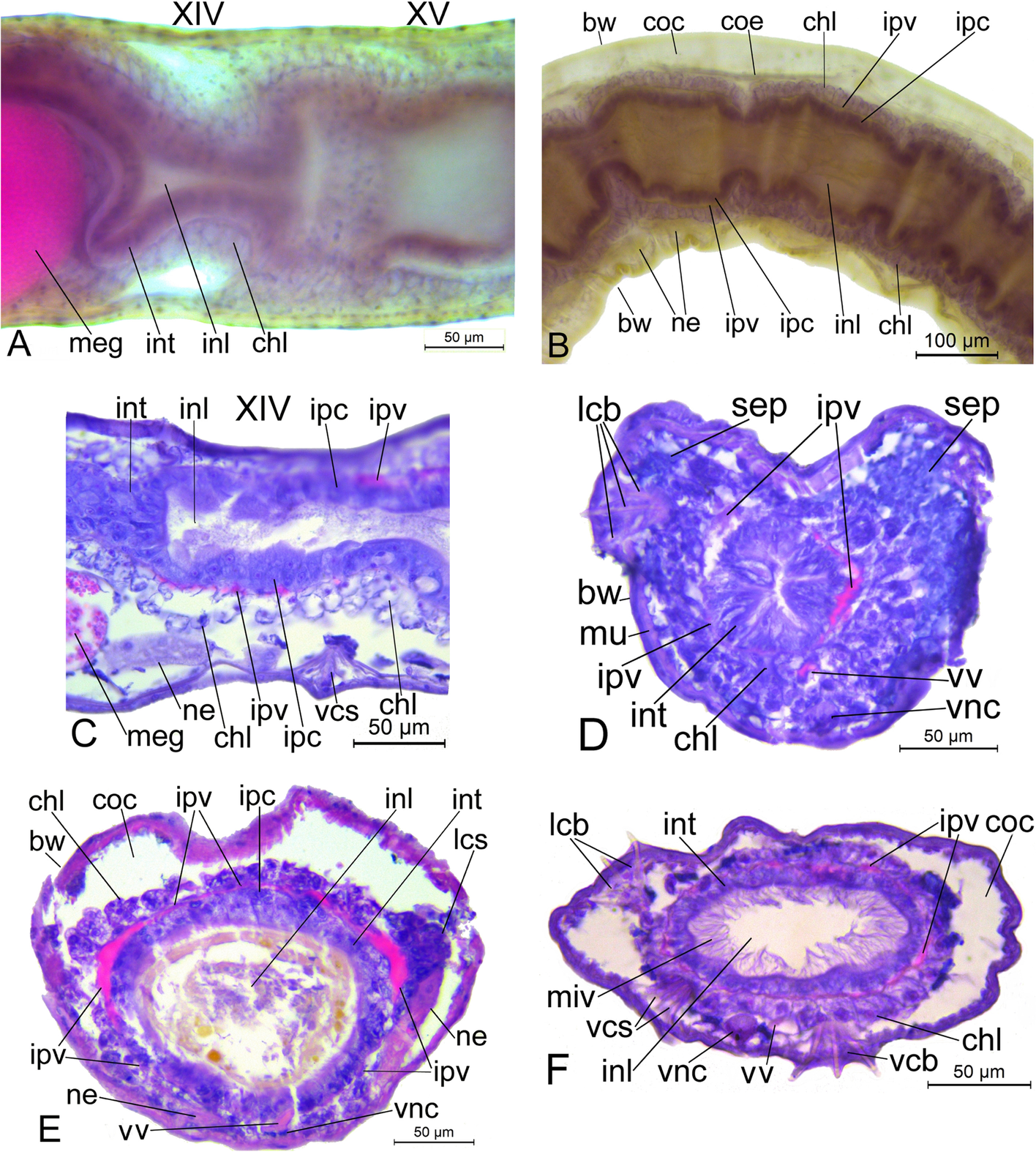 Fig. 9