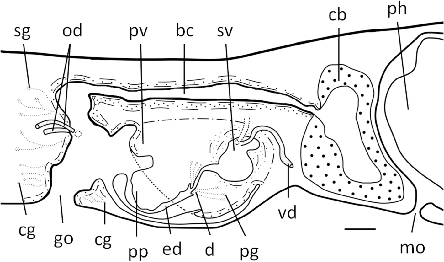 Fig. 13