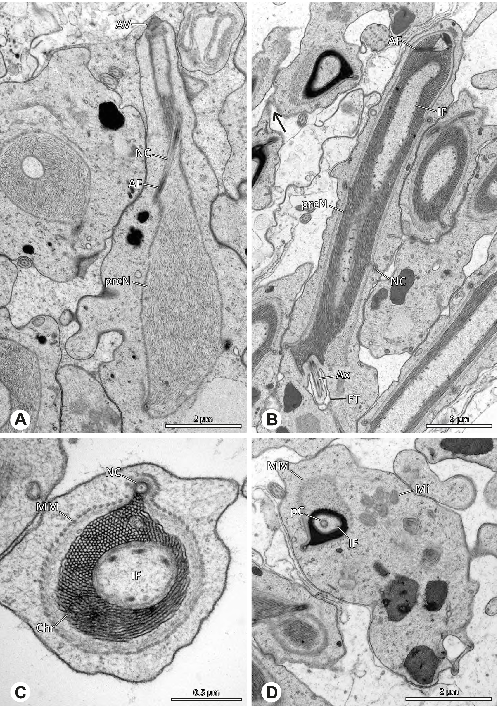 Fig. 15