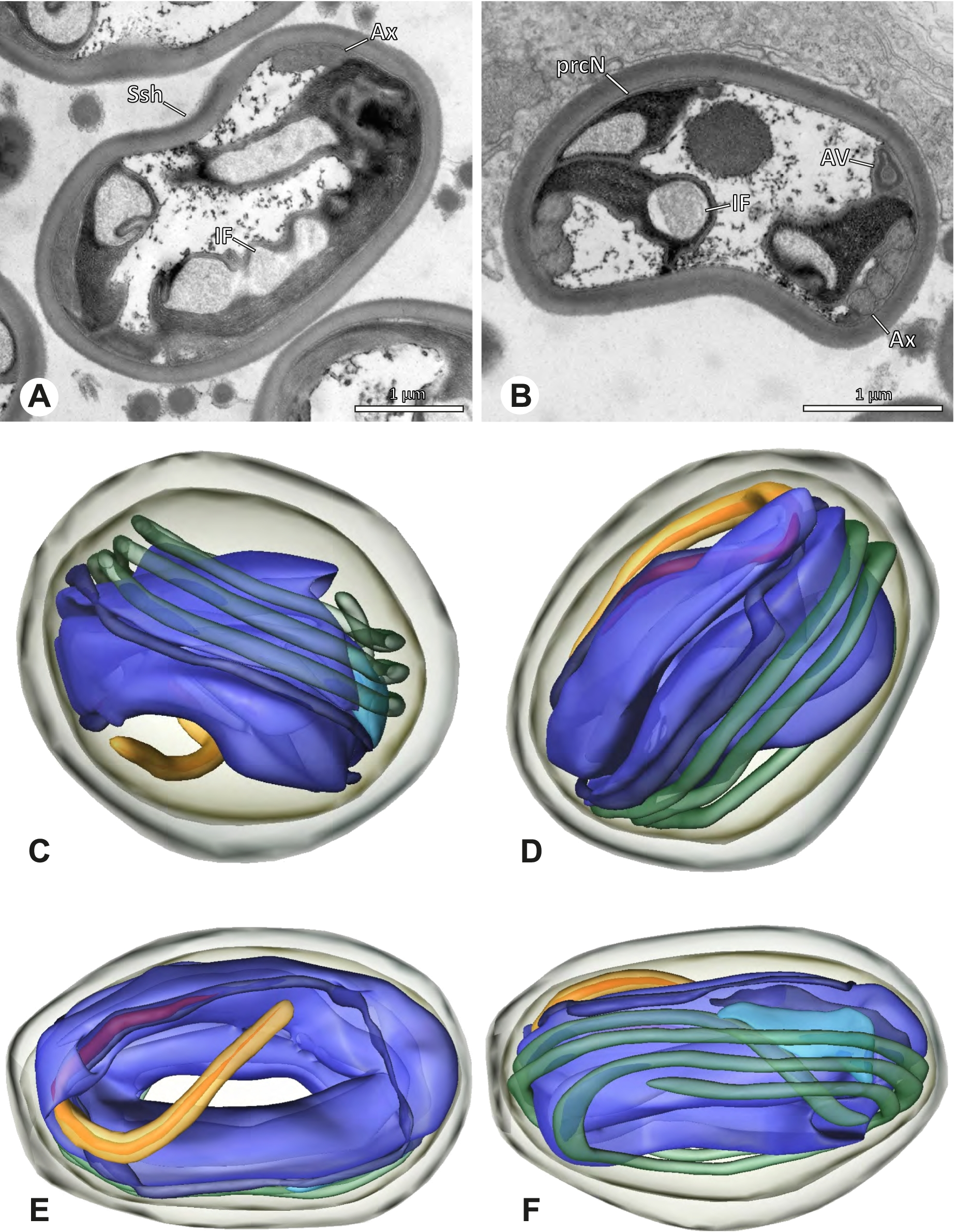 Fig. 22