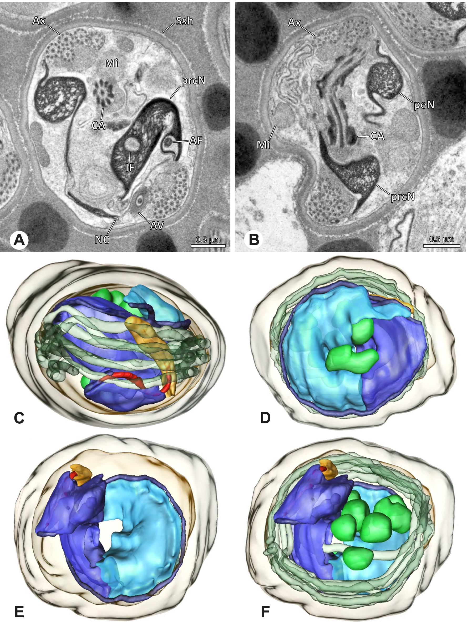 Fig. 43