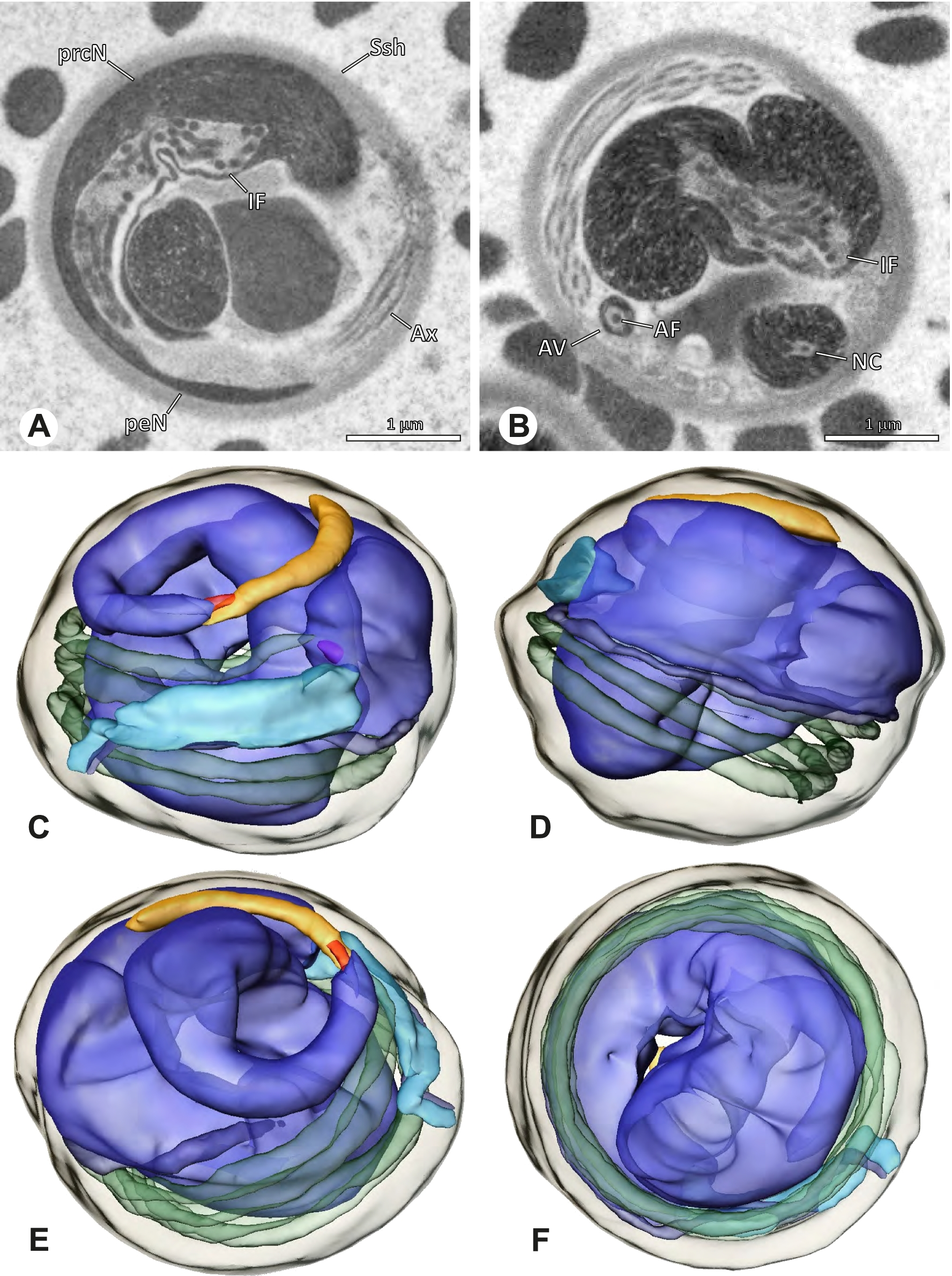 Fig. 48