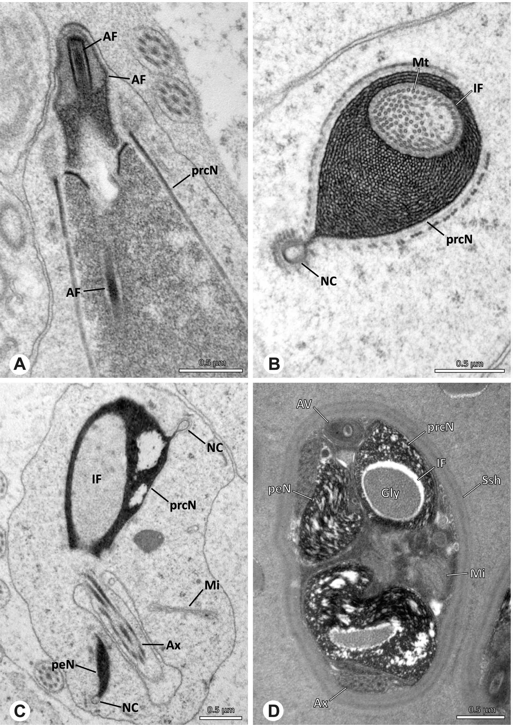 Fig. 49