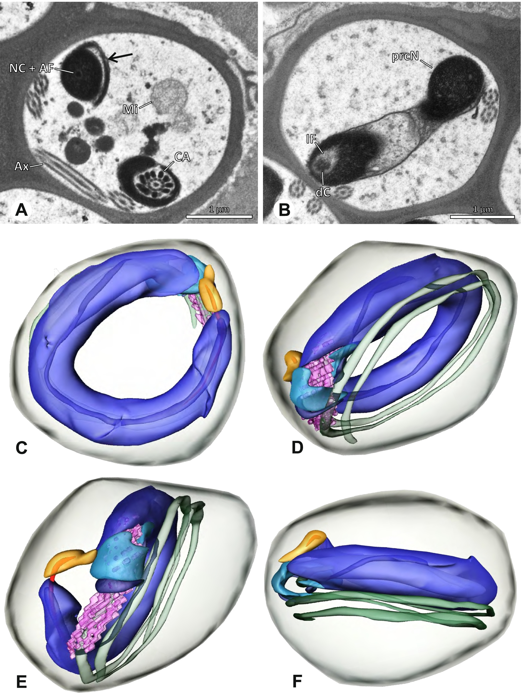 Fig. 63