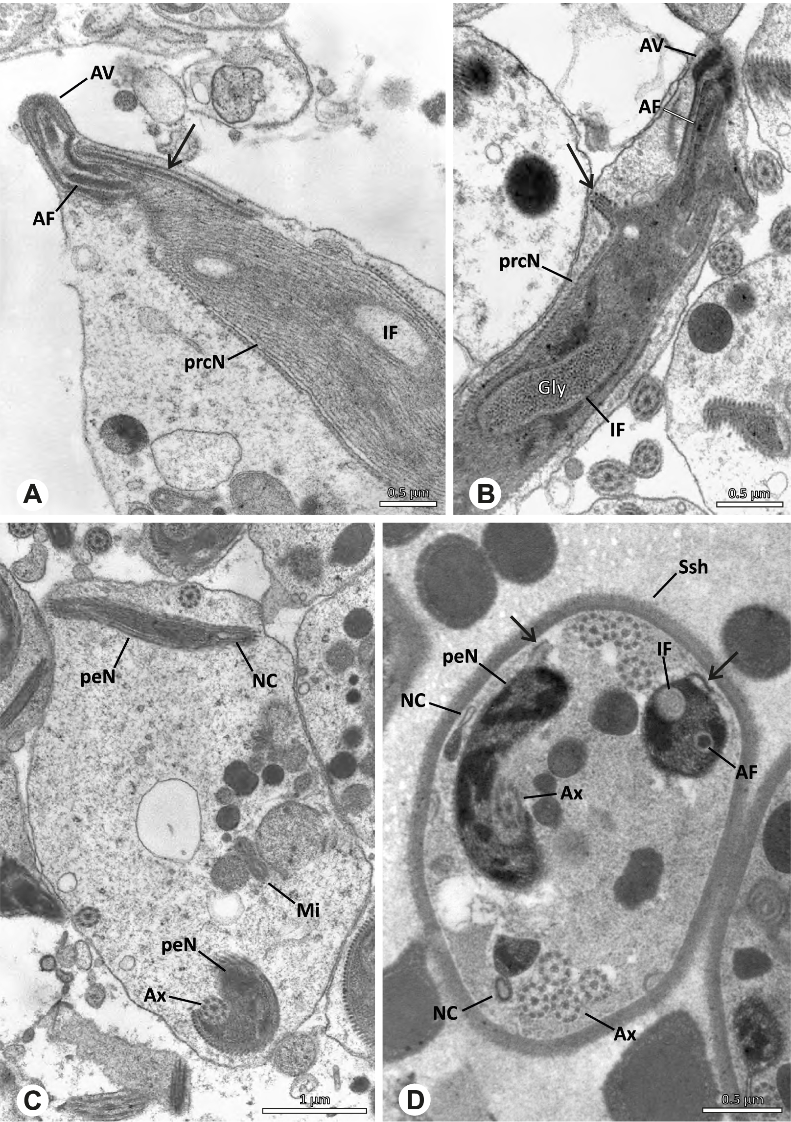 Fig. 69