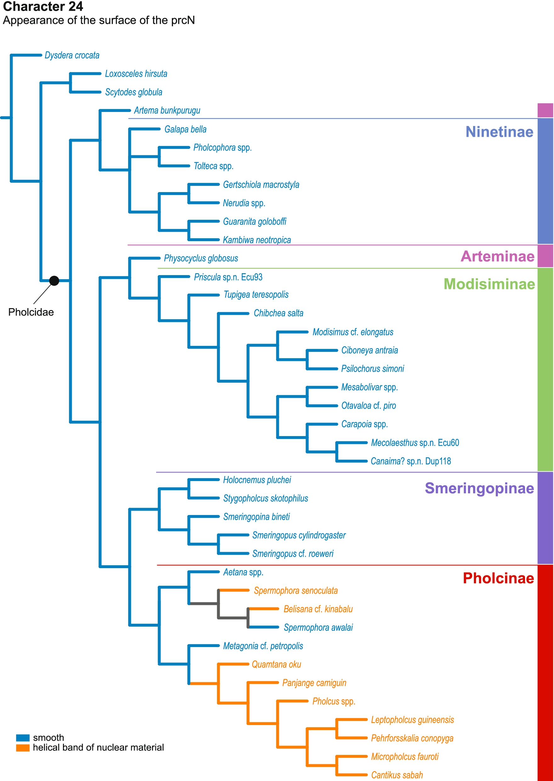 Fig. 74