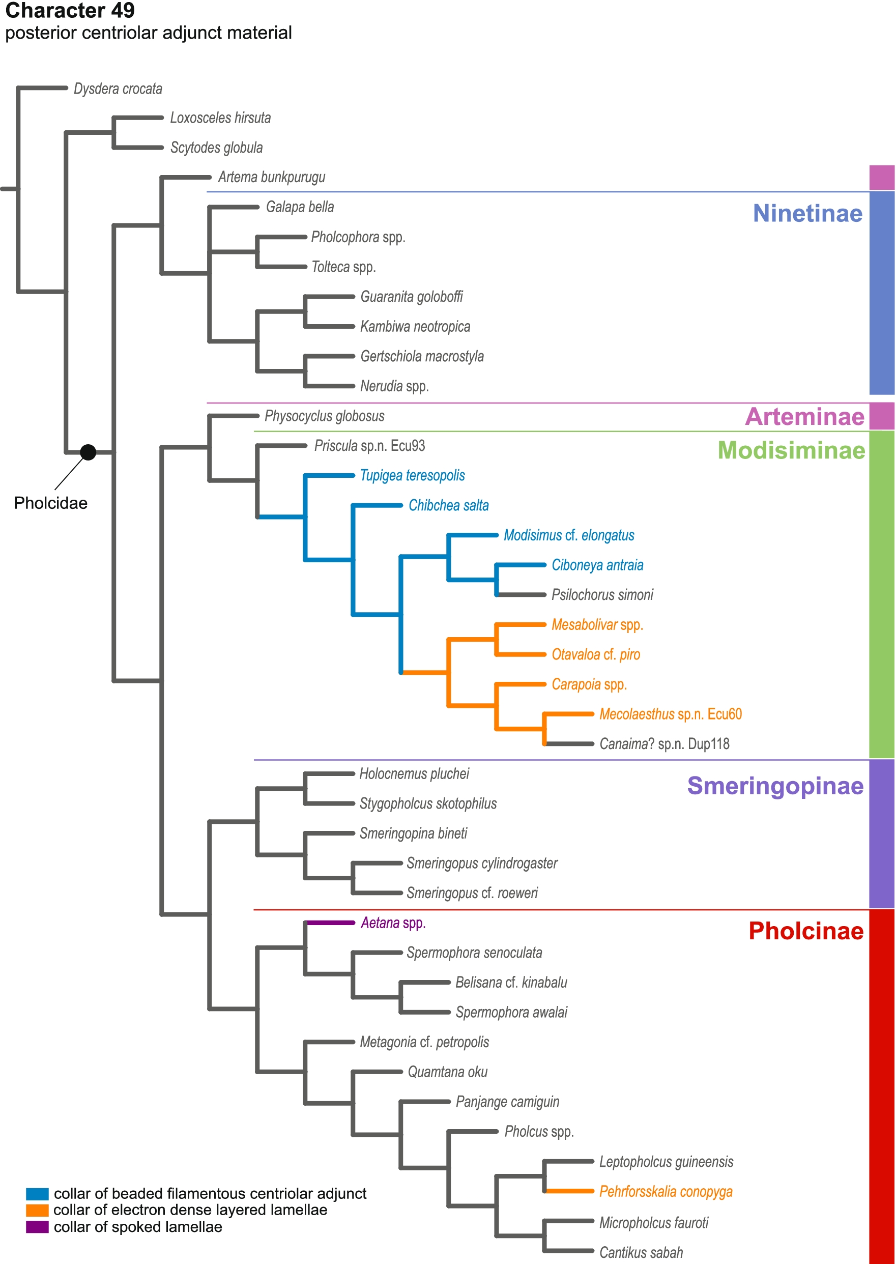 Fig. 76