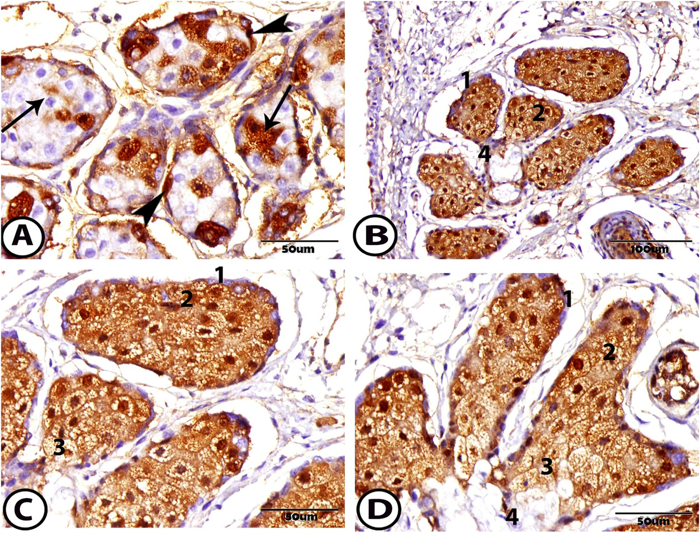 Fig. 6