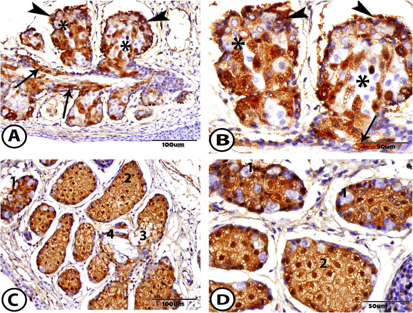 Fig. 7