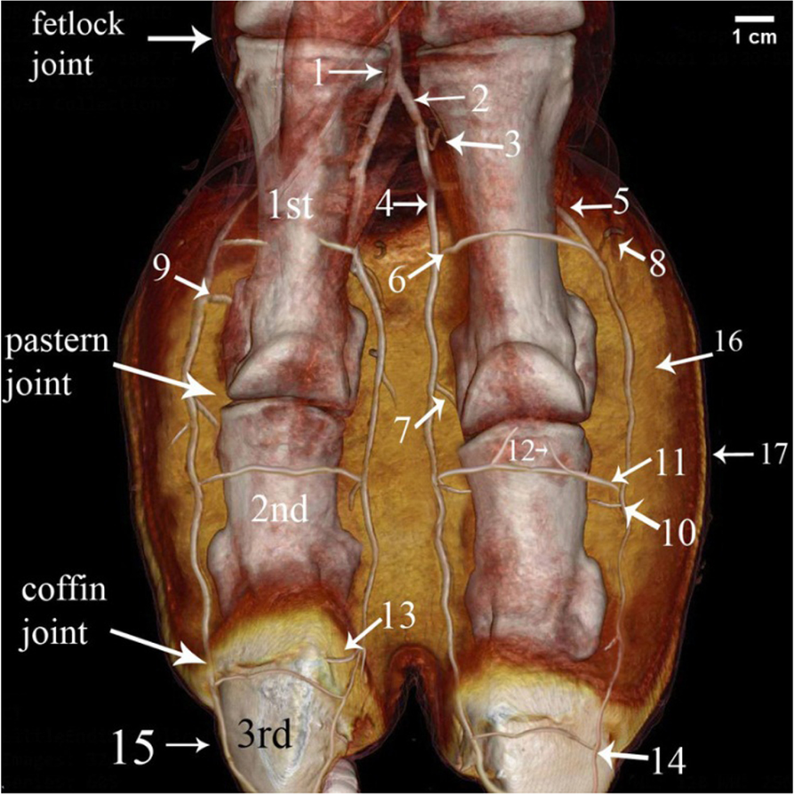 Fig. 7