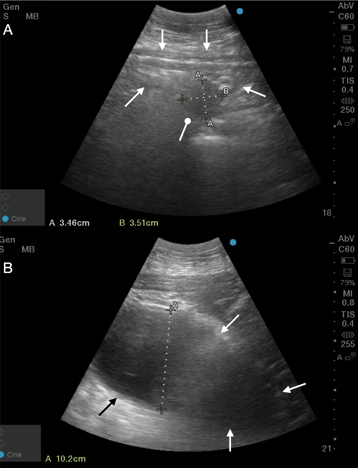 Fig. 6