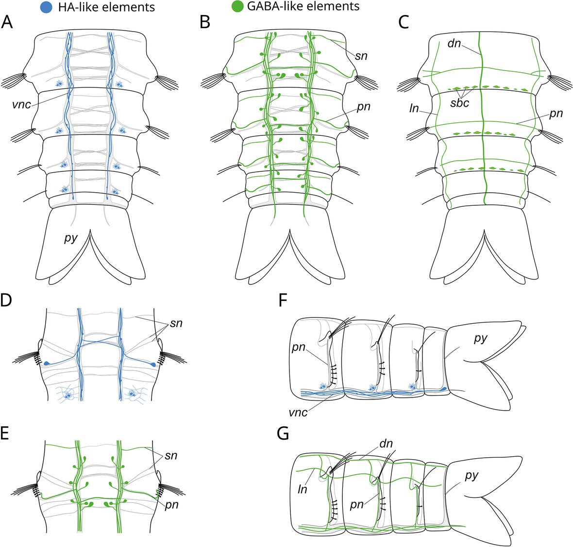 Fig. 9