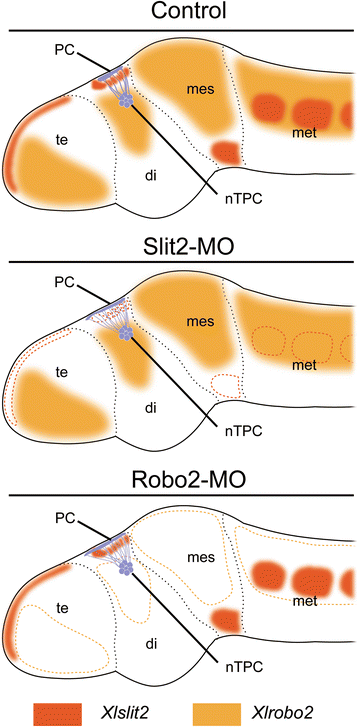 Fig. 10