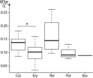 Fig. 10