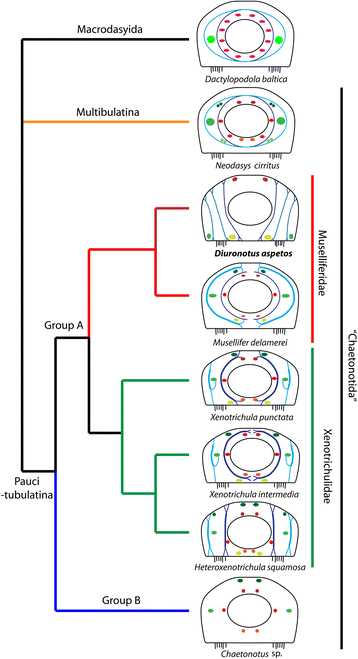 Fig. 11