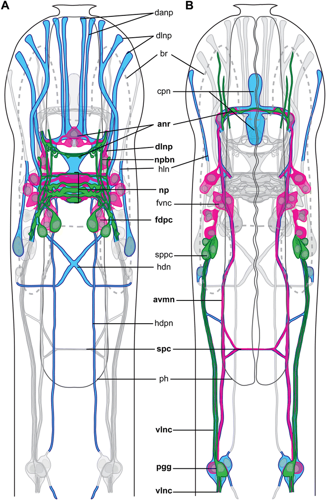 Fig. 9