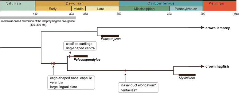 Fig. 5