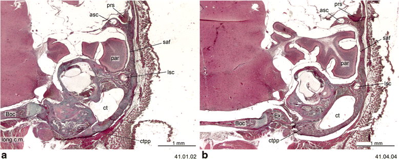 Fig. 10