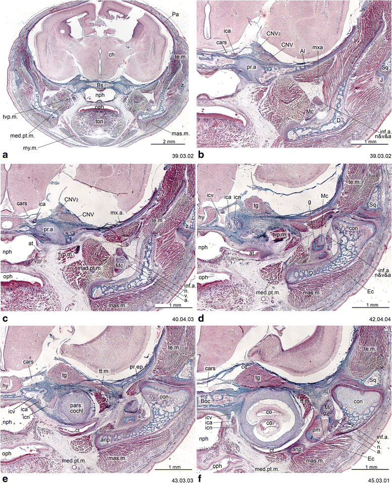 Fig. 11