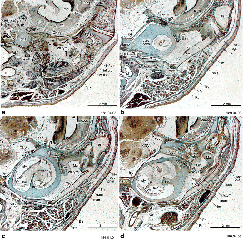 Fig. 13