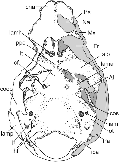 Fig. 17