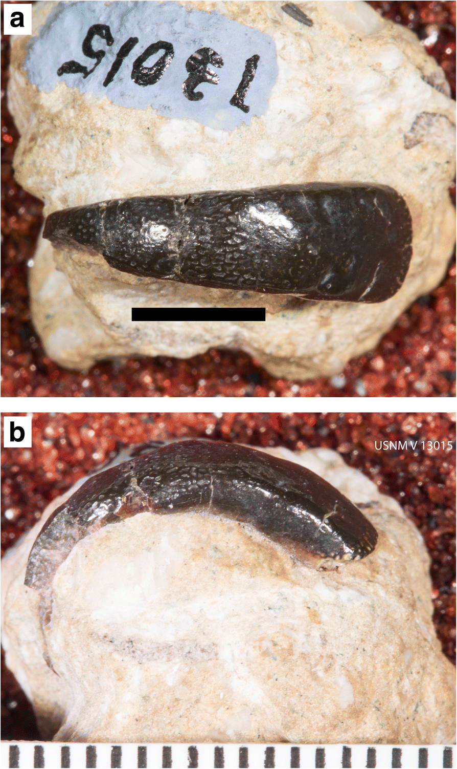 Fig. 10