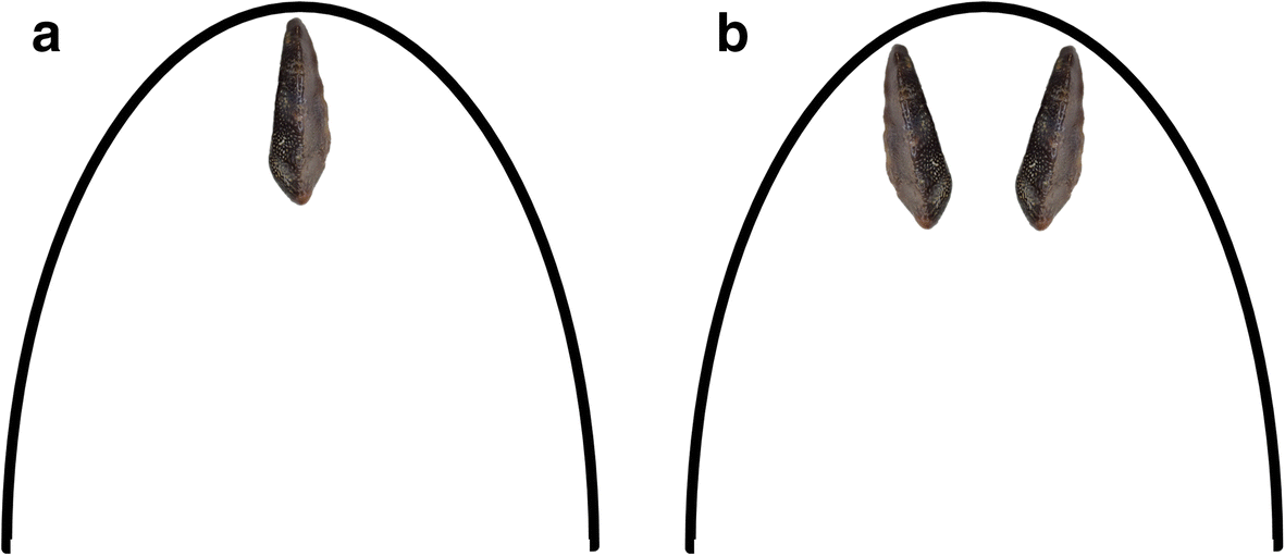 Fig. 11