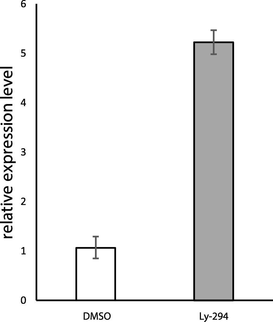 Fig. 5