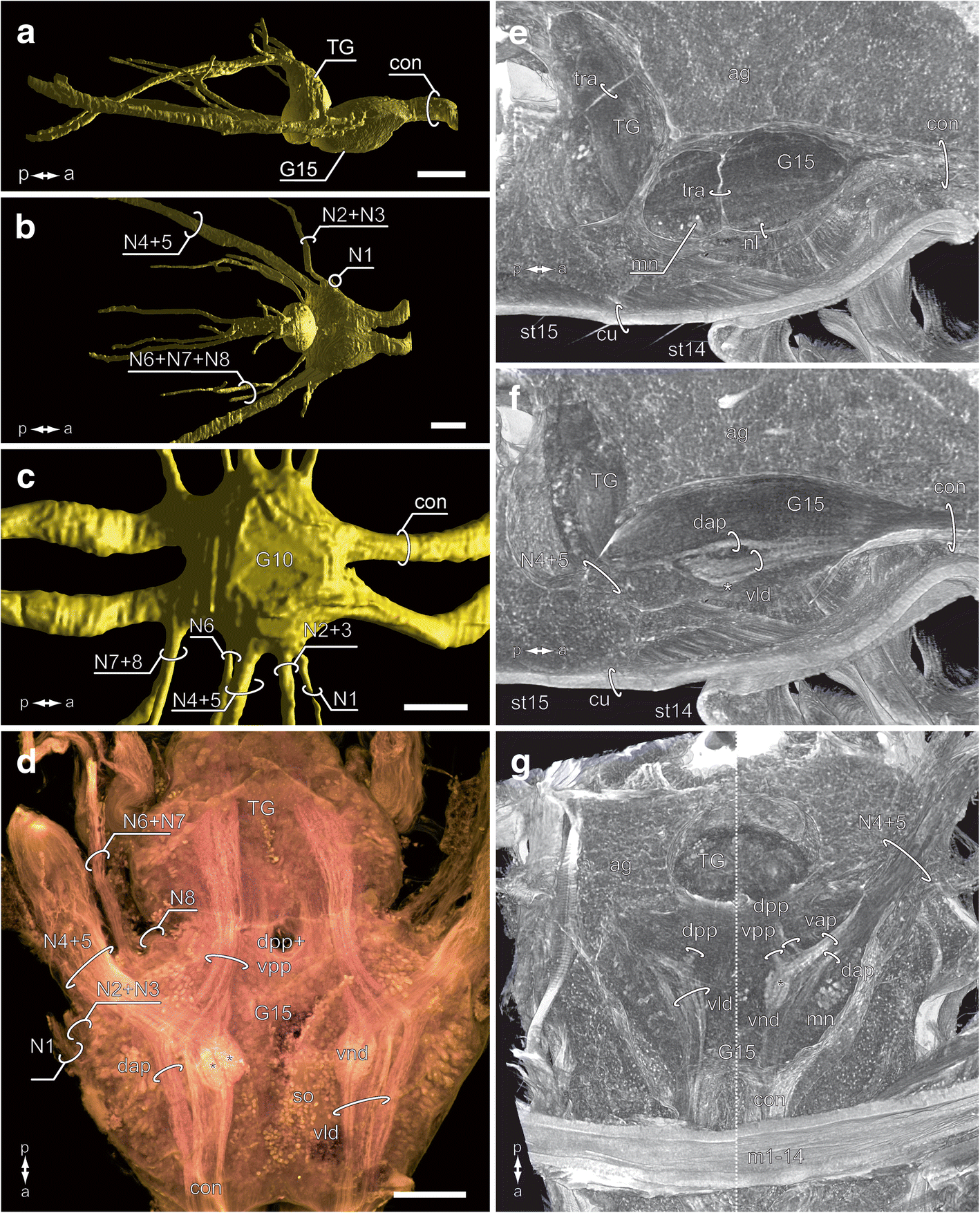 Fig. 8