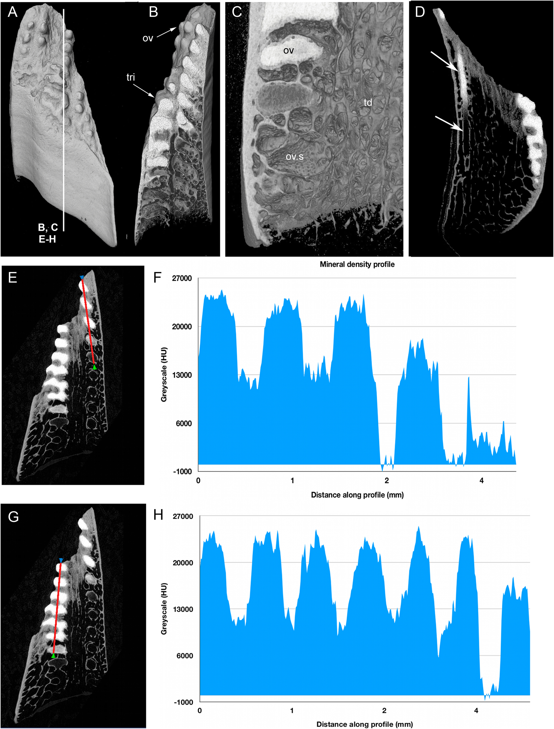 Fig. 13