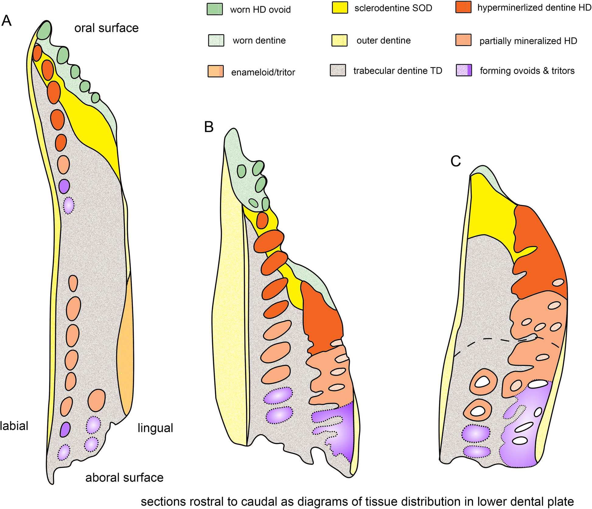 Fig. 18